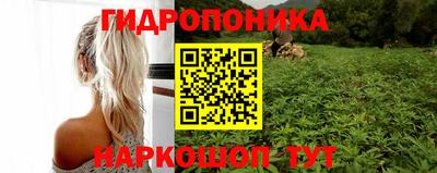индика Наро-Фоминск
